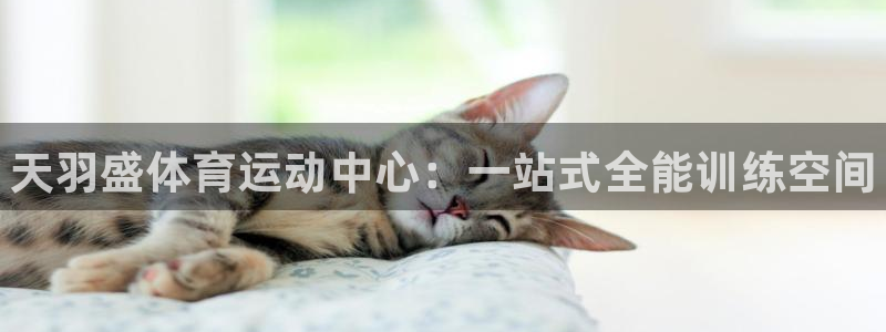 3377体育平台