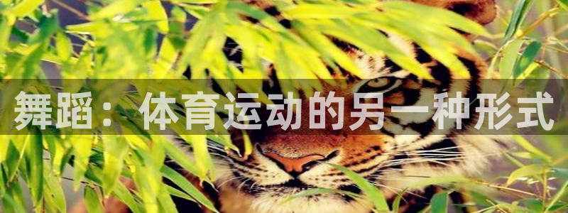 3377体育官网下载：舞蹈：体育运动的另一种形式