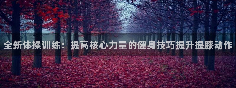 3377体育在线：全新体操训练：提高核心力量的健身技巧提升提膝动作