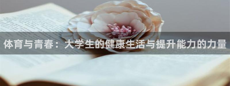 3377体育官方app下载