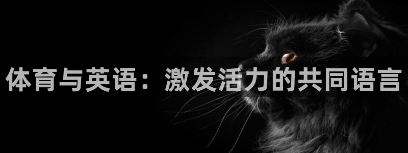3377体育在线：体育与英语：激发活力的共同语言